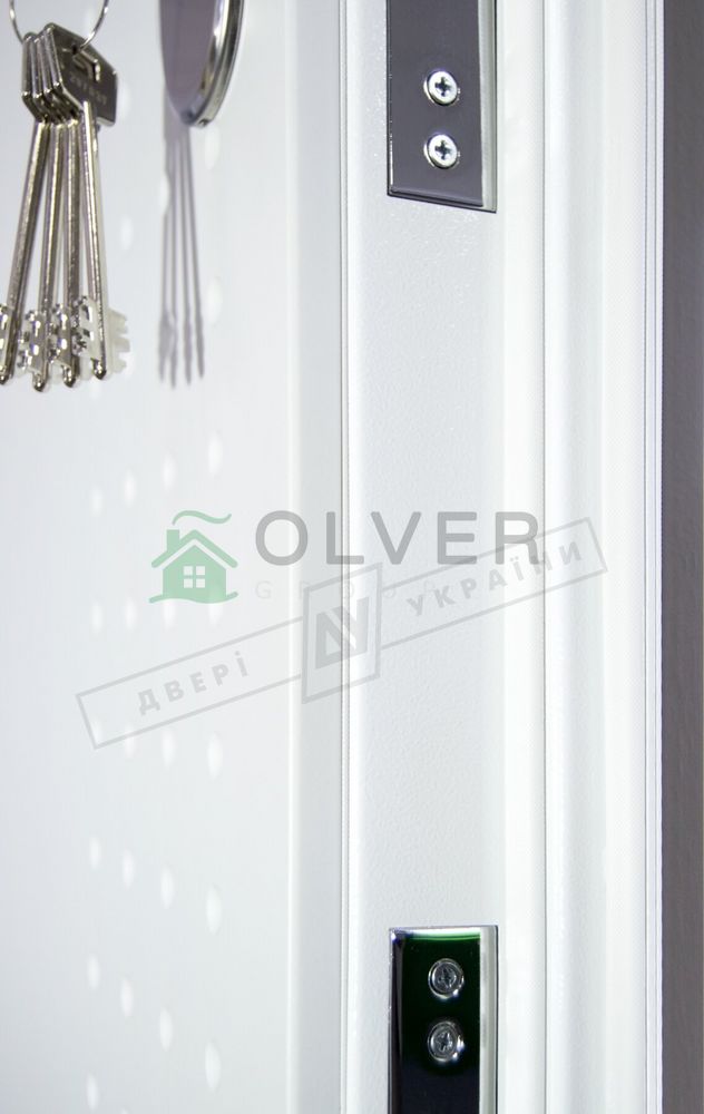 Купити Двері вхідні серії "ІНТЕР 5" модель Леон 2 / 980х2040 / Права (59872) - OLver Group | Вхідні двері «ДВЕРІ УКРАЇНИ» - ДВЕРІ УКРАЇНИ