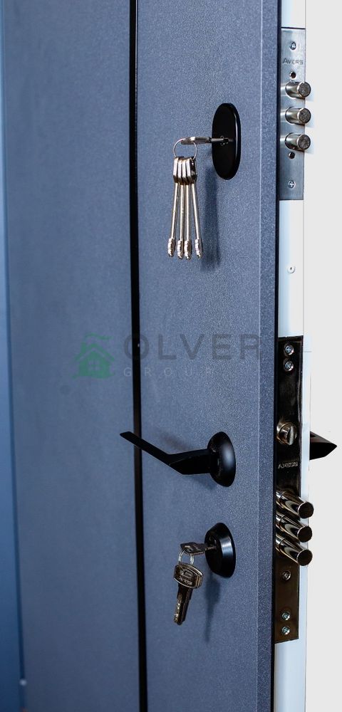 Купити НЕМО (оцинкований метал) вулиця - OLver Group | Вхідні двері RedFort - RedFort